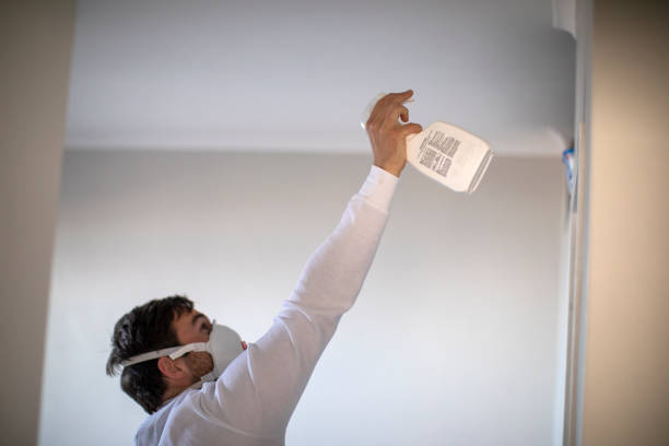 Reliable Mcgovern, PA Mold Removal Solutions