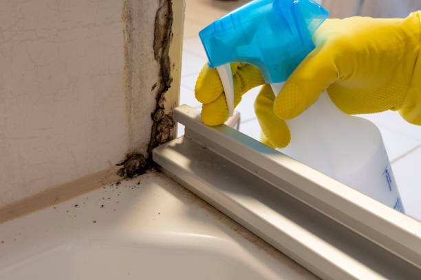Best Mold Testing  in Mcgovern, PA