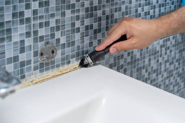 Best Home Mold Removal  in Mcgovern, PA